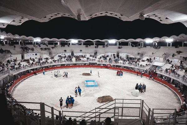 What are the best ways for UK sumo wrestlers to improve their balance and stability?